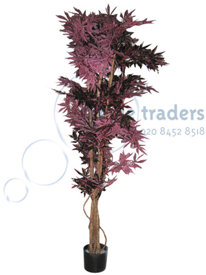 Acer trees Props, Prop Hire