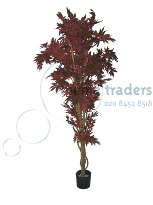 Red acer tree Props, Prop Hire