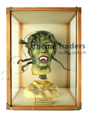 Medusa Heads in Display Case Props, Prop Hire