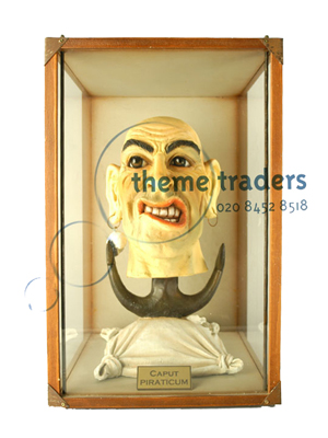 Sailor Head in Display Case Props, Prop Hire