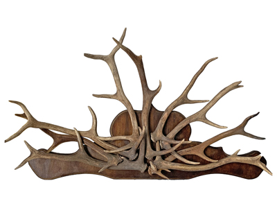 Mantlepiece Antlers Props, Prop Hire