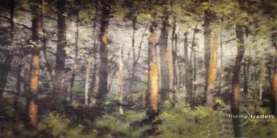 Forest Backdrop Props, Prop Hire