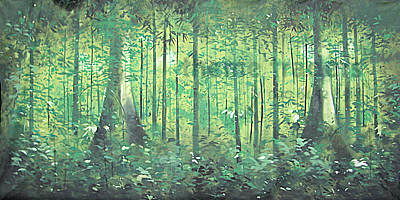 Rainforest backdrop Props, Prop Hire