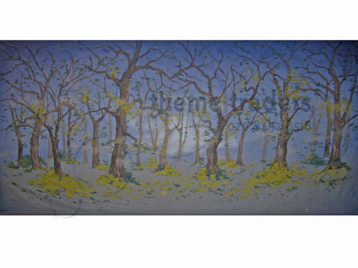 Spooky Forest Backdrop Props, Prop Hire