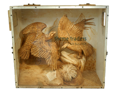 Birds in Display Boxes Props, Prop Hire