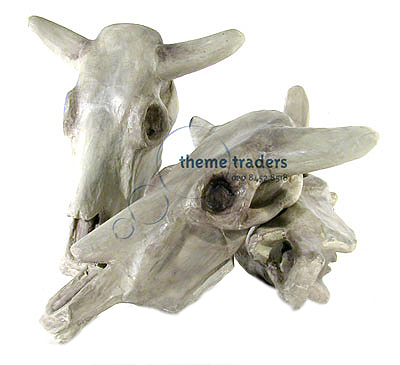 Bull Skulls Props, Prop Hire