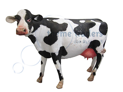 Cow Statue Head Up Props, Prop Hire