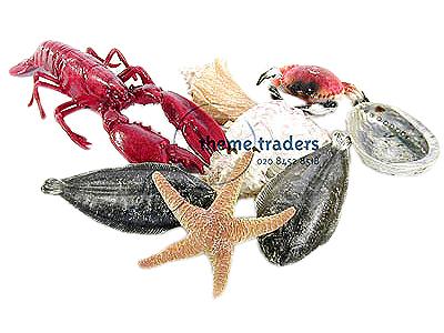 Sea Creatues (per item) Props, Prop Hire