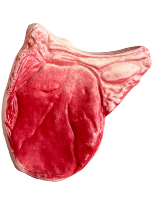 Replica Raw Pork Chops Props, Prop Hire
