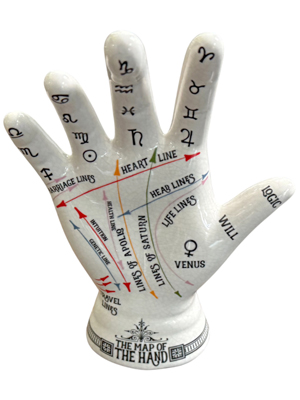 Palmistry Phrenology Hand Props, Prop Hire