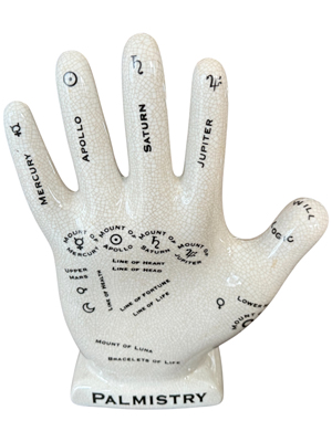 Palmistry Phrenology Hand Oversize Props, Prop Hire