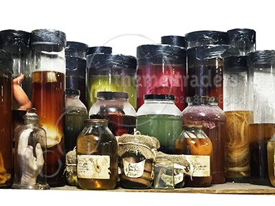 Horrible Specimen Jars Props, Prop Hire