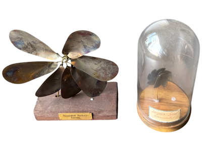 Curious Science Wizard of Oz Wind Making Machine Gadgets Props, Prop Hire