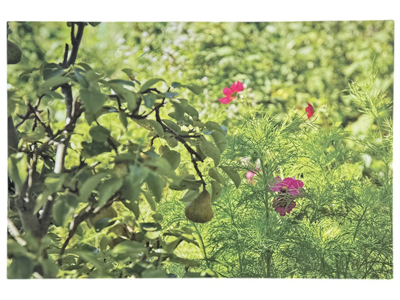 Large Waiting Room Floral Greenery Wall Print Props, Prop Hire