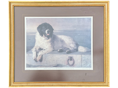 Dog Painting 60 Centimetre Props, Prop Hire