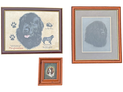 Dog Canine Prints and Paintings Props, Prop Hire