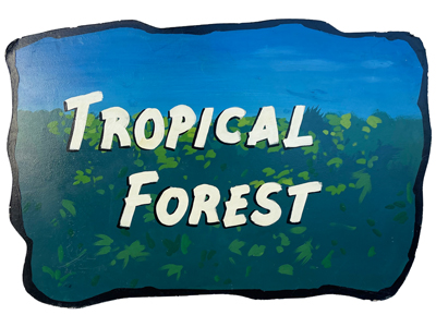 Tropical Forest Handpainted Sign Props, Prop Hire