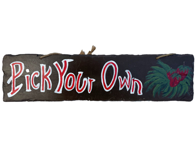 Pick Your Own Market 1 Metre Sign Props, Prop Hire