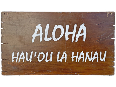 Hawaii Aloha Handpainted Sign Props, Prop Hire