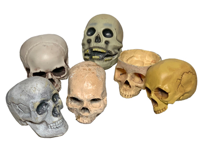 Skulls Props, Prop Hire
