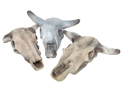 Bulls Head Skeletons Props, Prop Hire