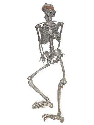 Glitter Skeletons Props, Prop Hire