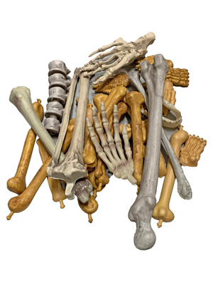 Plastic Bones Props, Prop Hire