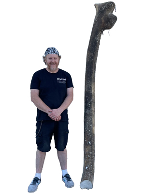 Prehistoric Dinosaur Bone Props, Prop Hire