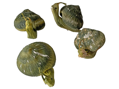 Snails Props, Prop Hire