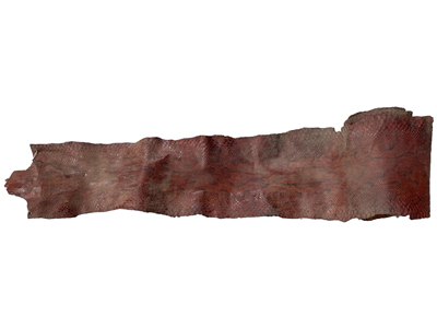 3 Metre Python Skin Props, Prop Hire