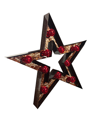 Metal Star with Lights (various colours) Props, Prop Hire