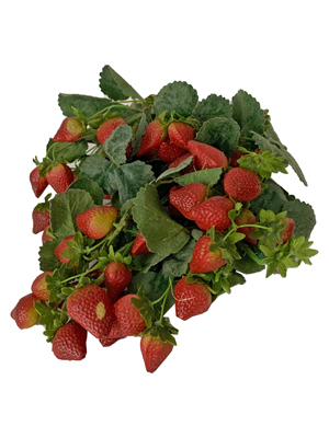 Strawberries On Vines Props, Prop Hire