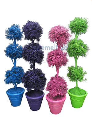 Topiary Trees Props, Prop Hire