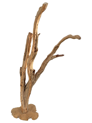 Large Driftwood Tree Props, Prop Hire
