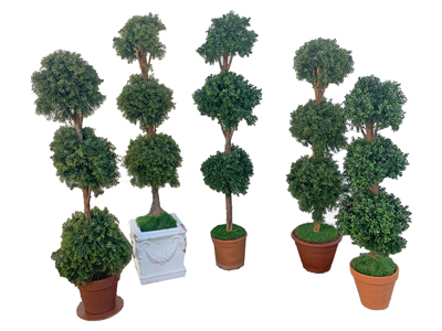 Topiary Trees Props, Prop Hire
