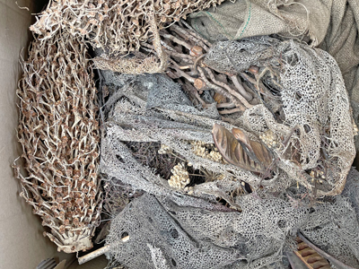 Dried Twigs Pods Branches Bushes Drift Flowers Props, Prop Hire