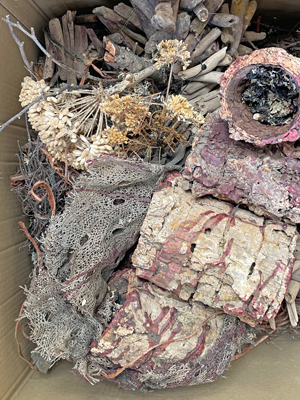 Dried Twigs Pods Branches Bushes Drift Flowers Props, Prop Hire