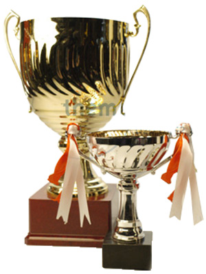 Trophies Awards Props, Prop Hire
