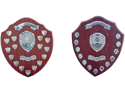 Large Trophy Shields Props, Prop Hire