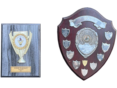 Trophy Shields Props, Prop Hire