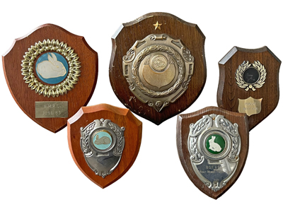 Trophy Award Shields Props, Prop Hire