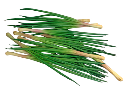 Spring Onions Props, Prop Hire