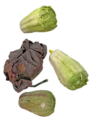 Lettuce Props, Prop Hire