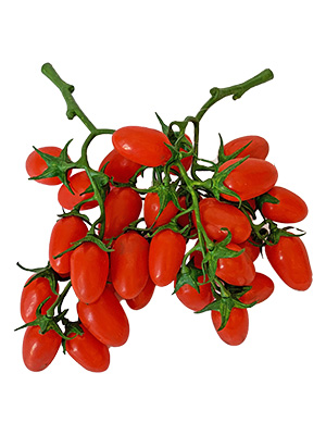 Tomatoes Baby Vine Props, Prop Hire