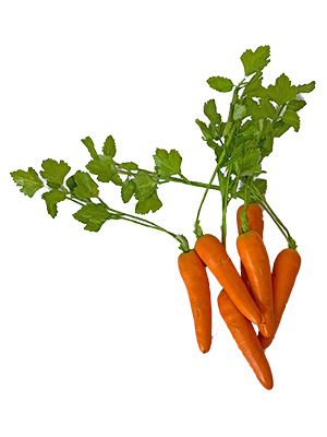Carrots Props, Prop Hire