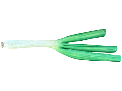 Extremely Realistic 90 Centimetre Spring Onions Props, Prop Hire